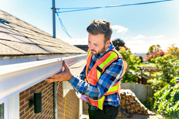 Best Roof Moss and Algae Removal  in Washington, DC